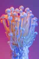 Foto gratuita luci dai colori vivaci con funghi e funghi