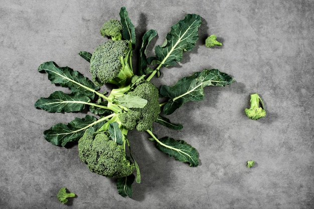 Broccoli inflorescences on laid out on a gray background, top view. Healthy vegetable products, food delivery from farms