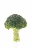 Free photo broccoli with white background