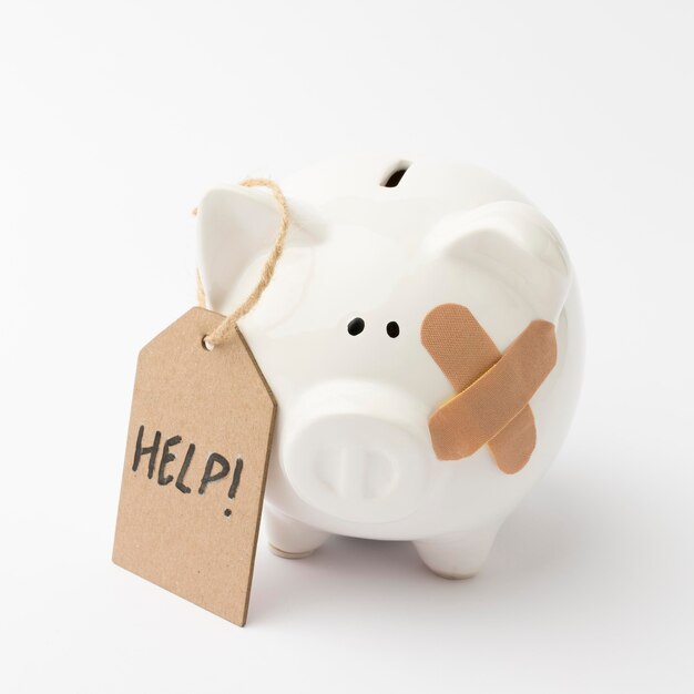 Broken piggy bank asking for help