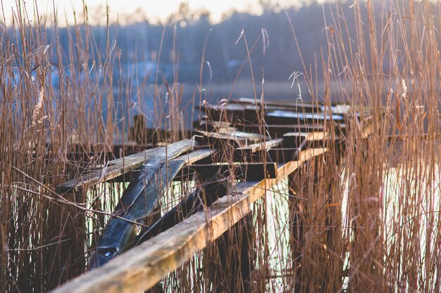 Broken wooden bridge