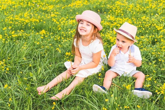 Brother holding sticks in hands sitting with her sister in meadow