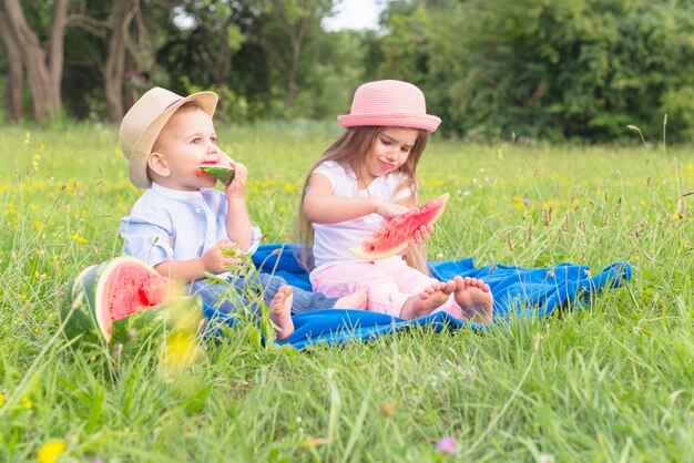 Brother and sister sitting on blue blanket over green grass eating watermelon