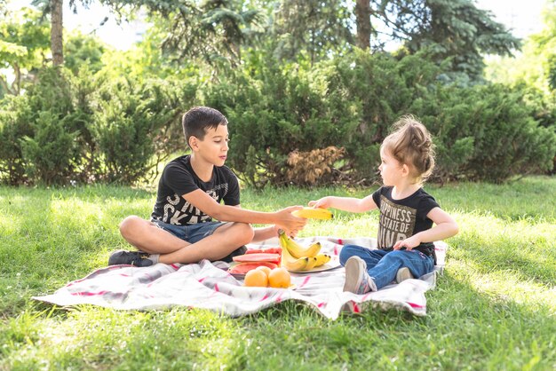 Брат и сестра сидят в парке со многими фруктами