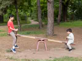 Free photo brothers playing in a seesaw