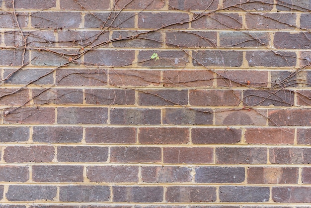 Brown brick wall background