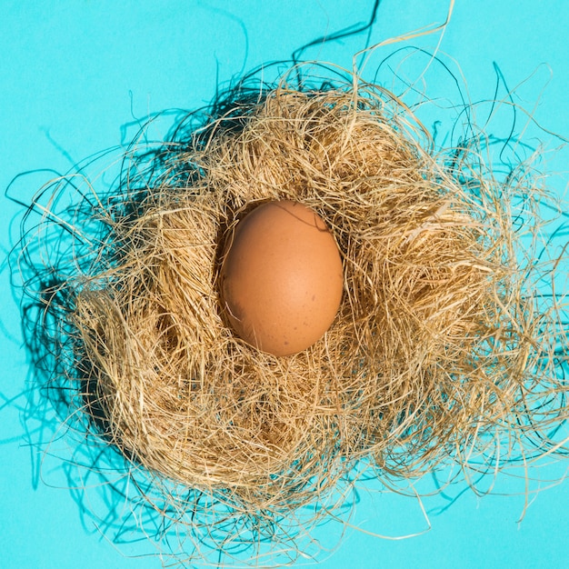 Brown chicken egg in nest on table