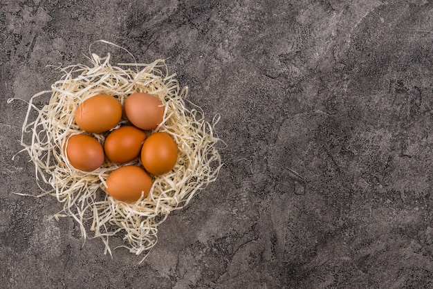 Brown chicken eggs in nest on table