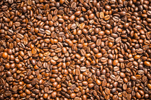 Free photo brown coffee beans and seed