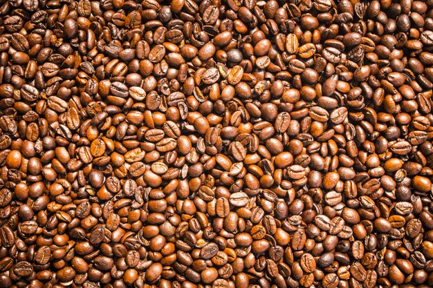 茶色のコーヒー豆と種