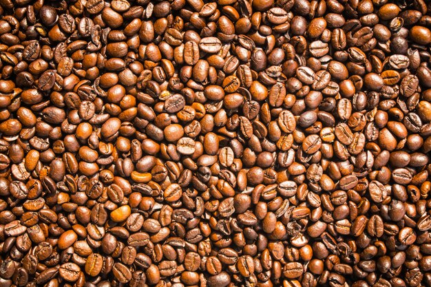 Brown coffee beans and seed