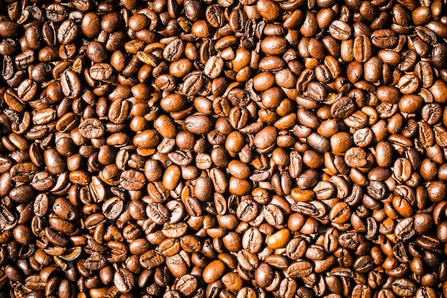 Brown coffee beans and seed