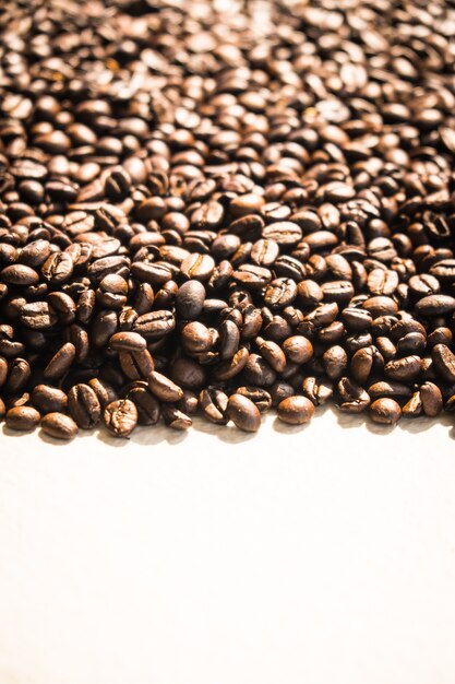 Brown coffee beans and seed