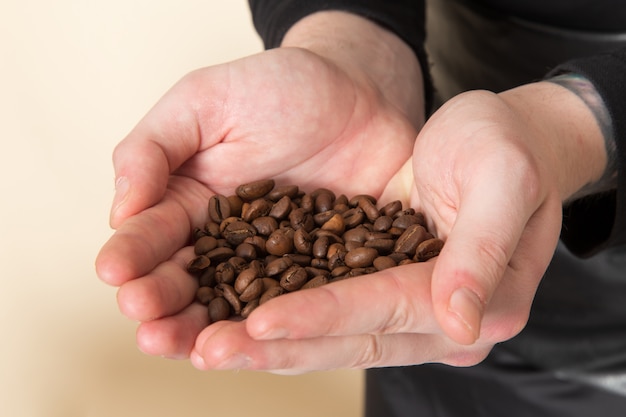 brown coffee seeds baristna holding in his hands
