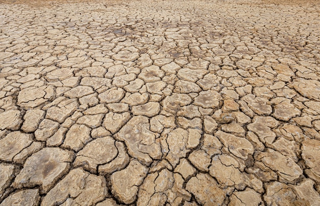 乾燥してひび割れた地面テクスチャ 無料の写真 乾燥してひび割れた地面テクスチャ 無料の写真