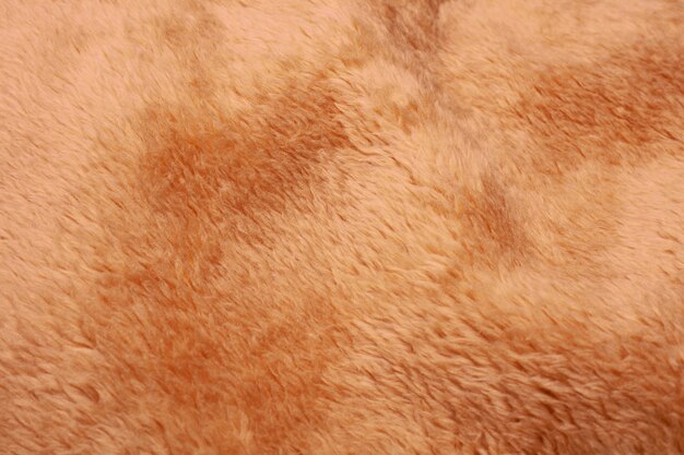 Brown fur close up detail