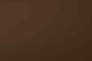 Free photo brown gradient background