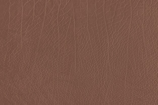 Brown leather grain texture