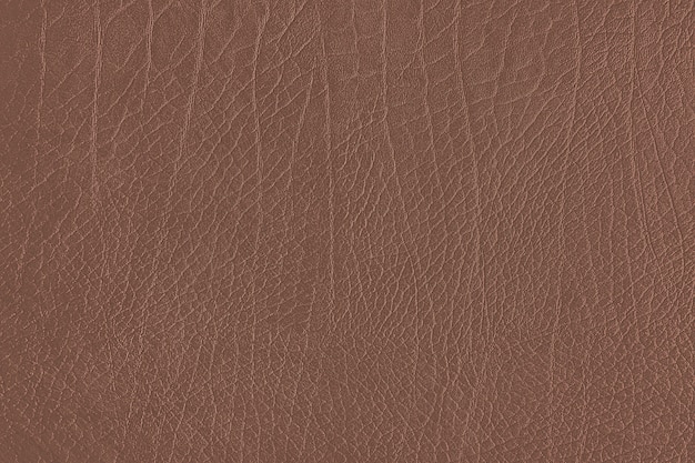 Brown leather grain texture