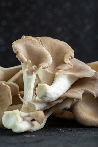 Brown mushrooms on black background