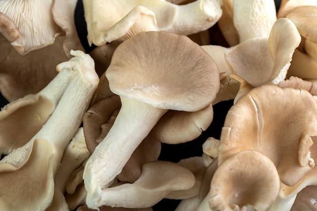 Brown mushrooms on dark background