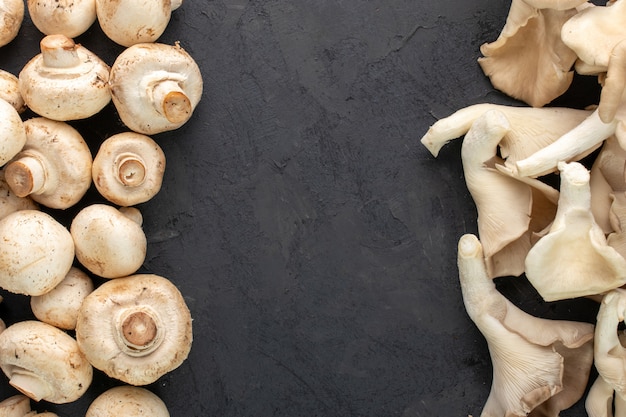 Free photo brown mushrooms on dark background