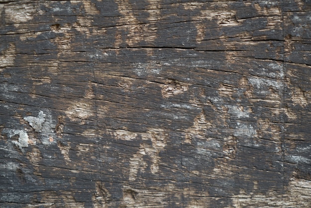 коричневый природа фон древесина макро