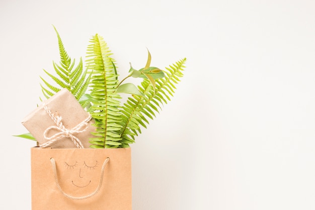 Коричневый бумажный пакет с листьями папоротника и подарочной коробкой на белом фоне