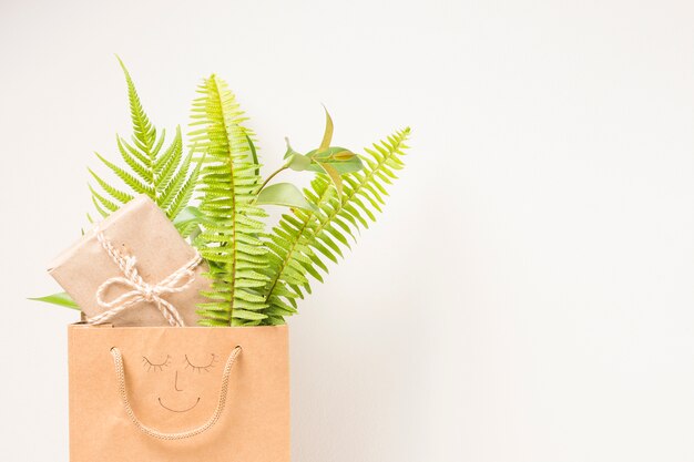 Brown paper bag with fern leaves and gift box against white backdrop