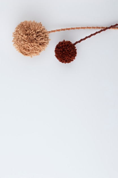 Brown pom poms with copy space top view