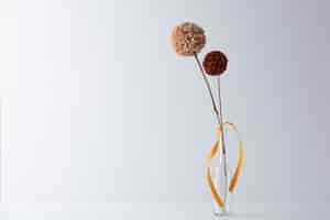 Free photo brown pom poms with copy space