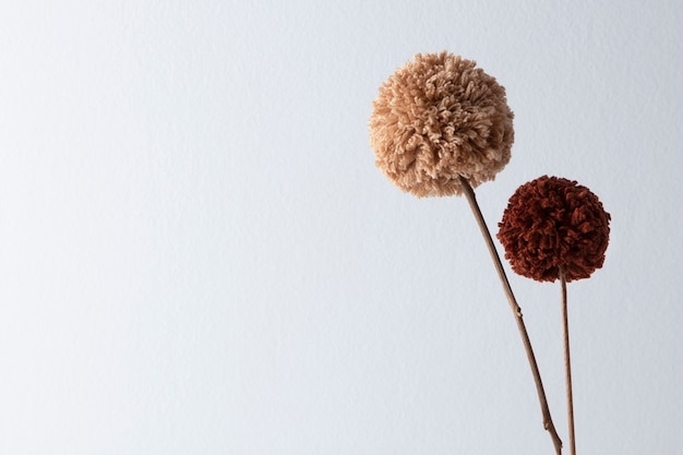 Brown pom poms with copy space