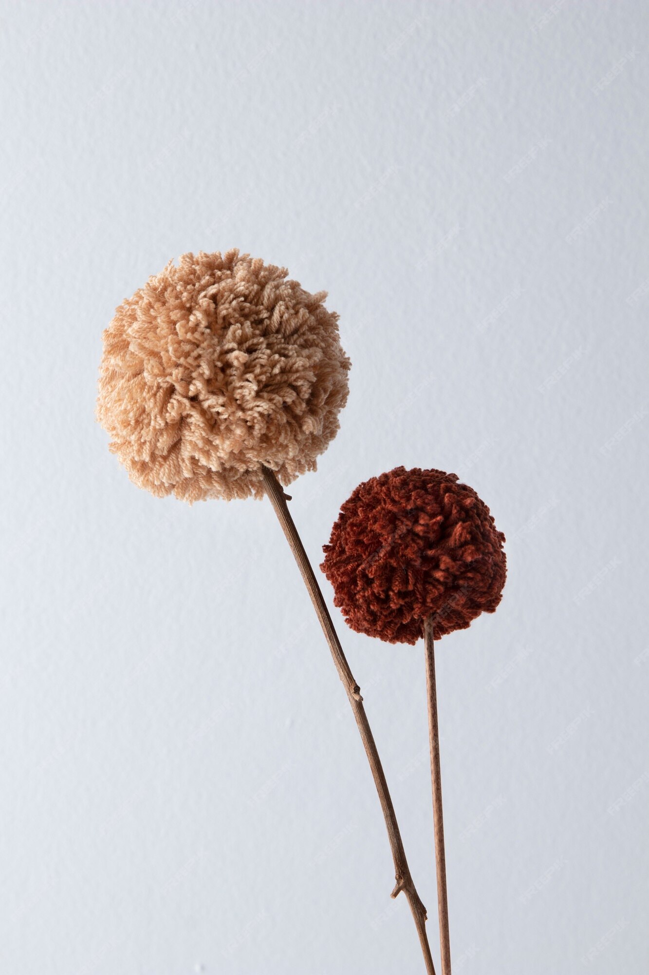 Free Photo  Brown pom poms with white background
