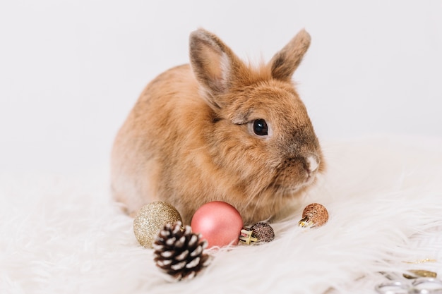 Brown rabbit with shiny baubles