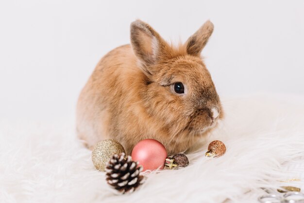 Brown rabbit with shiny baubles