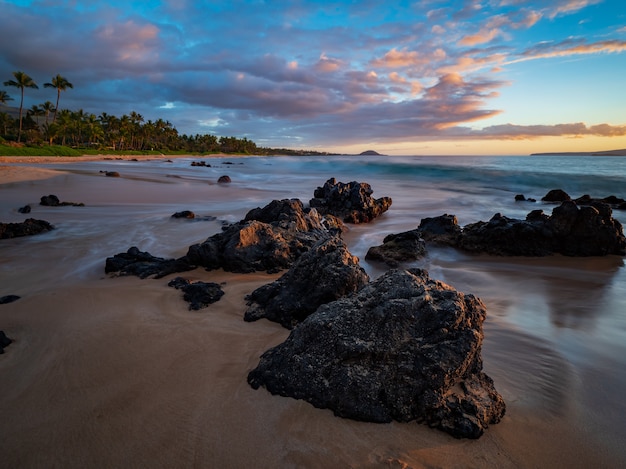 무료 사진 해변에 갈색 바위