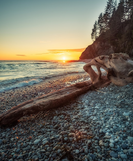 Free photo brown rock formation on seashore during sunset