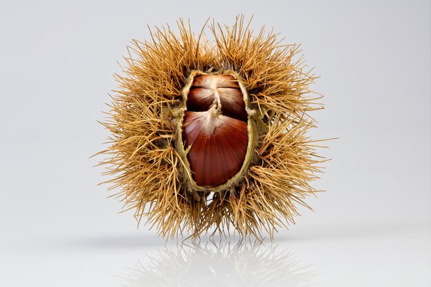 Brown round fruit on white table