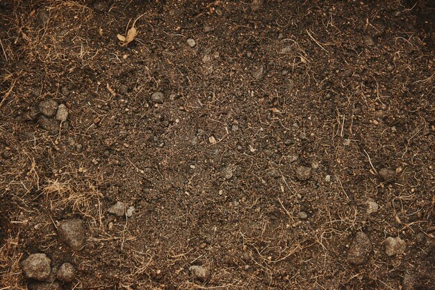 Brown soil background for gardening