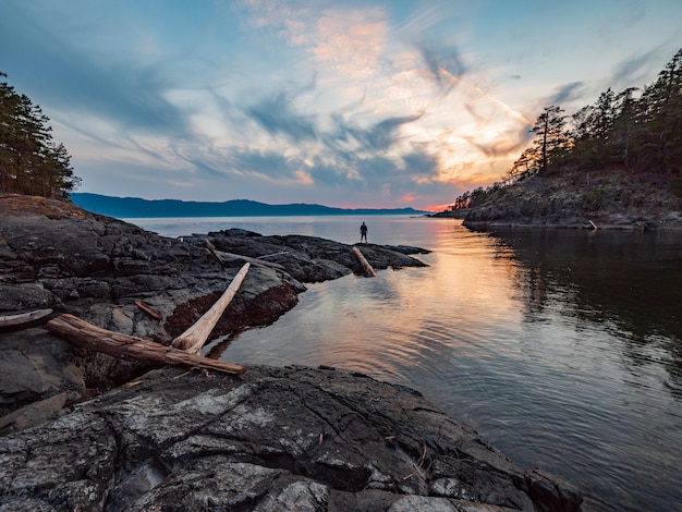 Brown Tree Log on Lake Under Blue Sky and White Clouds