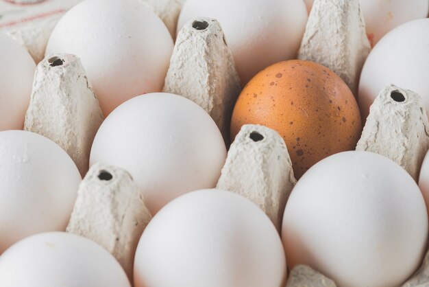 랙에 갈색과 흰색 달걀