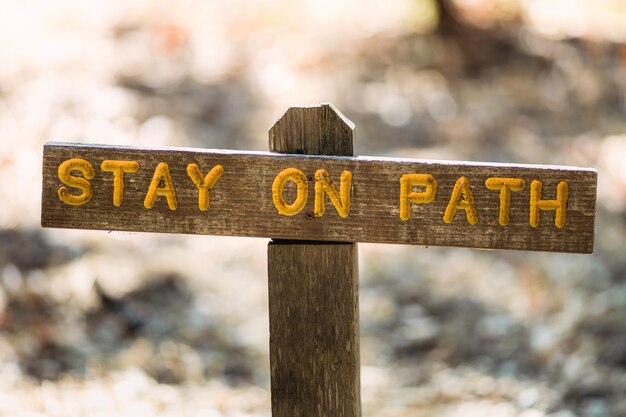 Brown wooden arrow sign during daytime