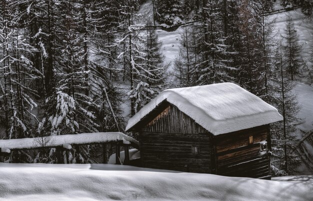 Коричневый деревянный сарай во время снега
