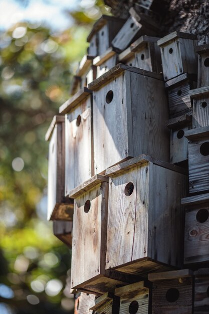 Brown wooden birdhouse in tilt shift lens