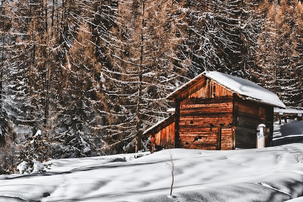 森の近くの雪に覆われた風景の中の茶色の木製キャビン