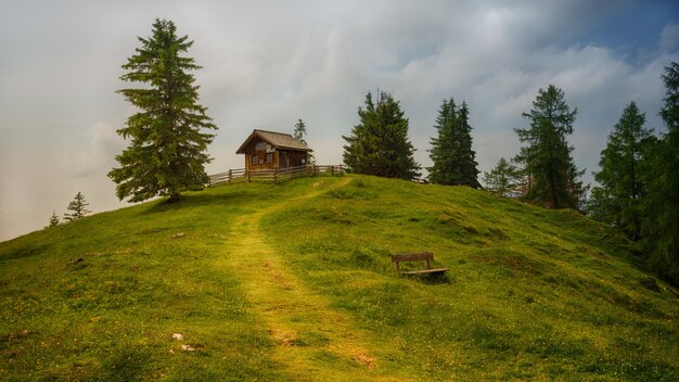 Brown wooden house near trees on hill