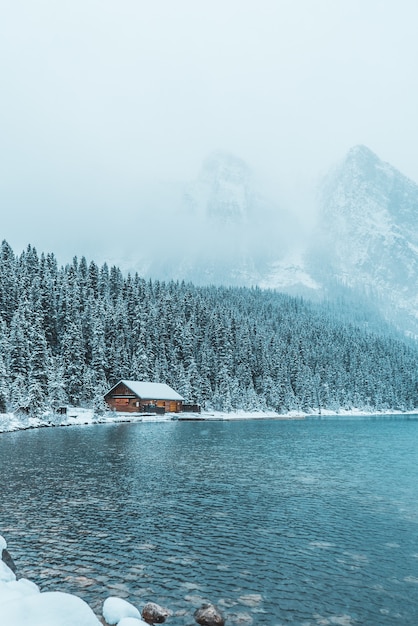 Brown wooden house between trees and body of water during winter