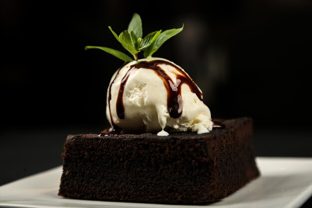 Brownie chocolate ice- cream mint sugar powder side view