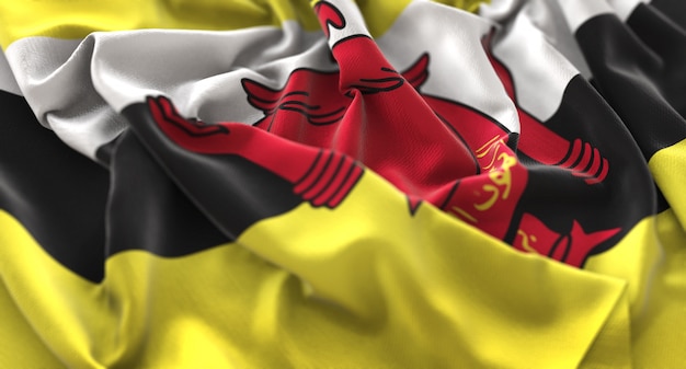 Брунейский флаг украшен красиво размахивая макровом крупным планом