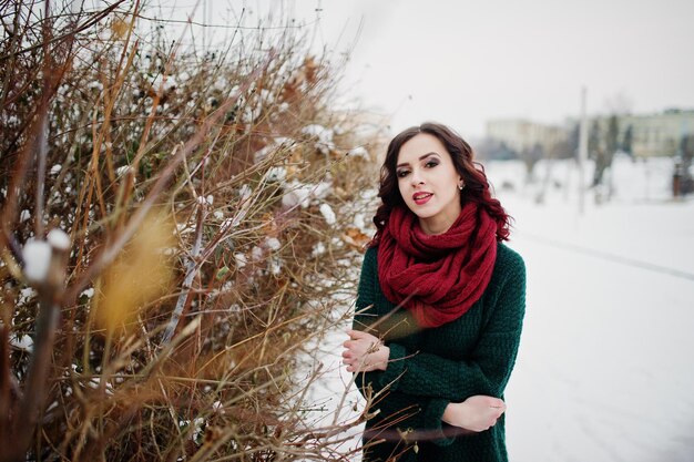 Brunette girl in green sweater and red scarf outdoor against bushes on evening winter day